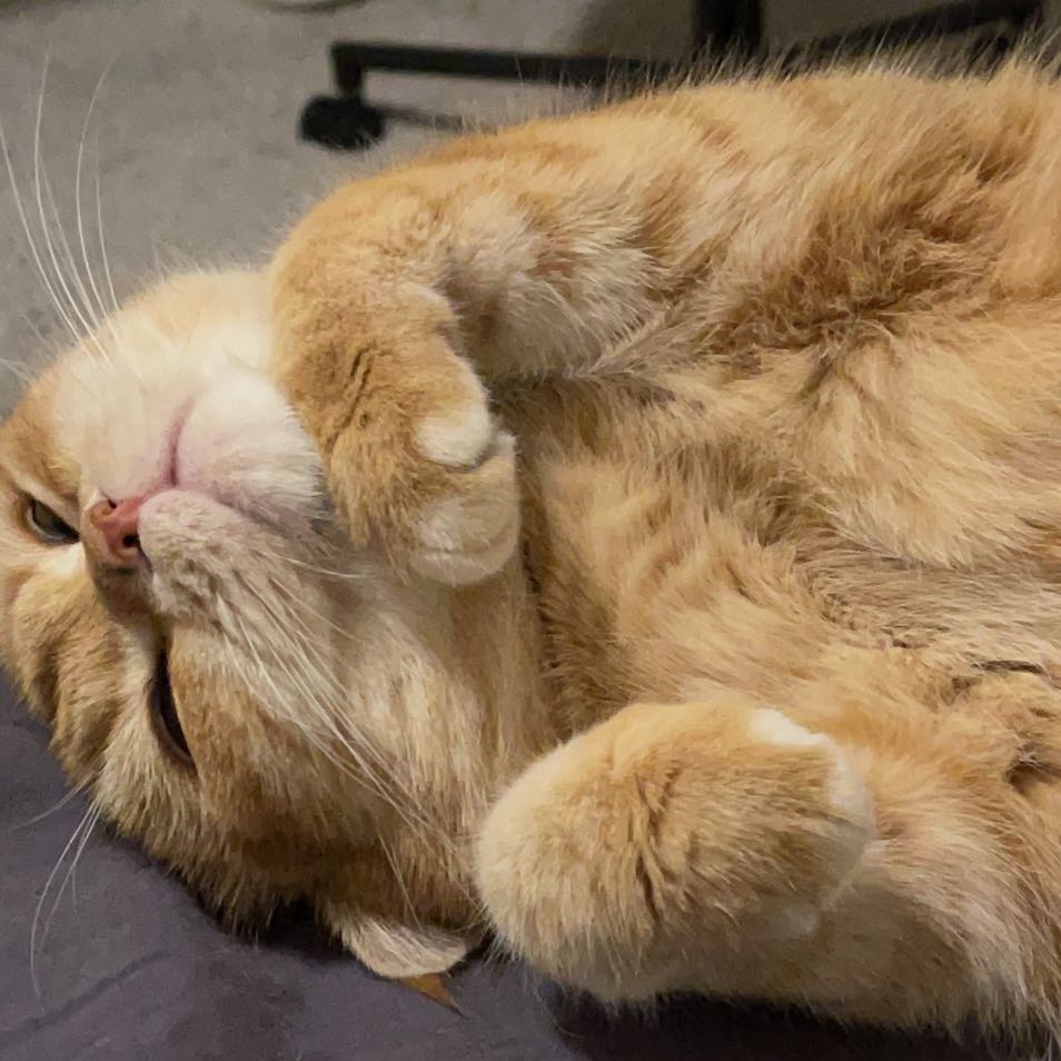 Order Young's Dessert Bar 会员5折 一盎司甜品 (法拉盛) Delivery【Menu & Prices